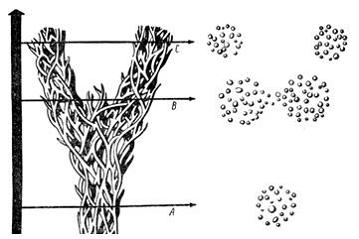 Изображение вопроса На рисунке показана схема …...