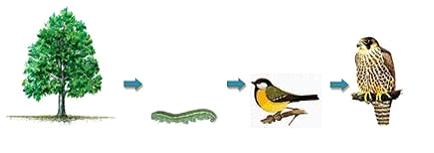 Изображение вопроса На рисунке приведен пример ____	...