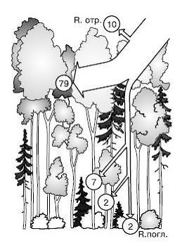 Изображение вопроса На рисунке показан поток _____...