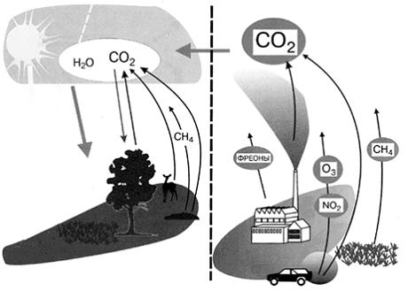 Изображение вопроса На рисунке продемонстрировано поступление в атмосф...