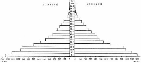 Изображение вопроса Представленная на рисунке половозрастная пирамида ...