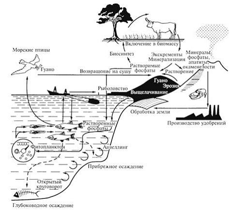 Изображение вопроса Показанное на рисунке производство удобрений может...