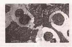 Изображение вопроса На рисунке изображена микроструктура __	...