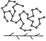 Изображение вопроса Полимеры, макромолекулы которых имеют форму, показ...