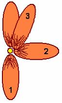 Изображение вопроса На рисунке представлен графический примитив,    ...