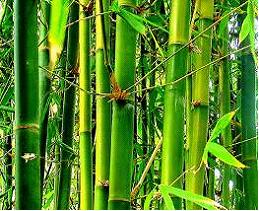 Изображение вопроса Кейс-задания: Кейс 2 подзадача 1 На Филиппинах су...