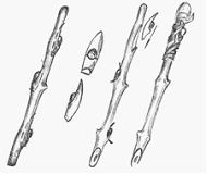 Изображение вопроса Способ прививки плодовых и декоративных растений о...