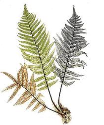 Изображение вопроса Кейс-задания: Кейс 1 подзадача 1 В повести «...