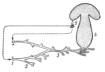 Изображение вопроса Кейс-задания: Кейс 2 подзадача 2 Путешественник в...