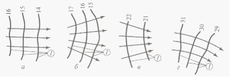 Изображение вопроса Установите соответствие между названиями форм пото...