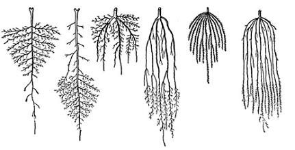 Изображение вопроса На рисунке показаны …...
