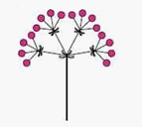 Изображение вопроса На рисунке показано соцветие, называемое …...