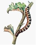 Изображение вопроса На рисунке показано влияние _______________ фактор...