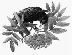 Изображение вопроса На рисунке показаны виды, между которыми сложились...