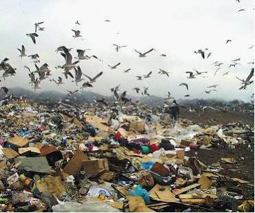 Изображение вопроса Кейс-задания: Кейс 1  подзадача 1   Осенью 2011 г...