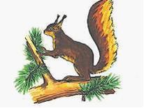 Изображение вопроса Воздействие белки обыкновенной на растительный орг...