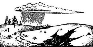 Изображение вопроса В результате водной эрозии почв (как показано на р...