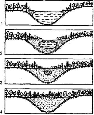 Изображение вопроса Установите последовательность этапов процесса сукц...