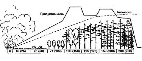 Изображение вопроса Установите последовательность смены фитоценозов в ...