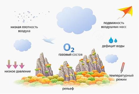 Изображение вопроса На рисунке показаны особенности  ___&#...
