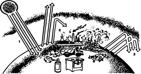 Изображение вопроса На рисунке под цифрой 1 показано ___&#...