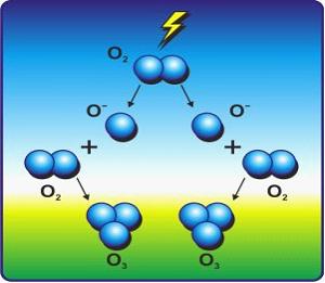 Изображение вопроса На схеме показаны процессы ____	...