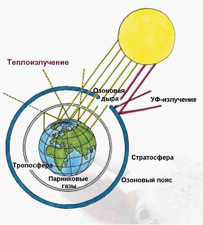 Изображение вопроса Выберите на схеме процессы, связанные с озоновым п...