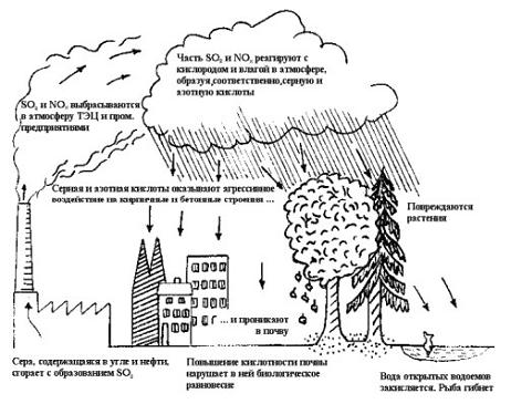 Изображение вопроса Выберите на схеме негативные последствия «кис...