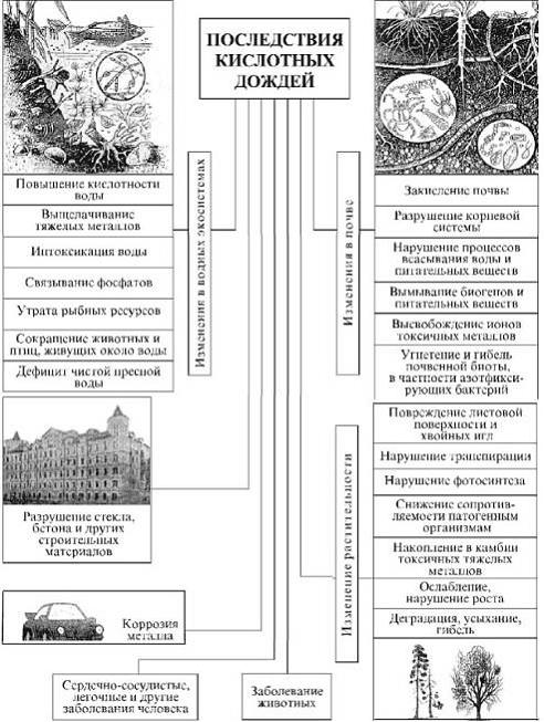 Изображение вопроса Выберите на рисунке негативные последствия воздейс...