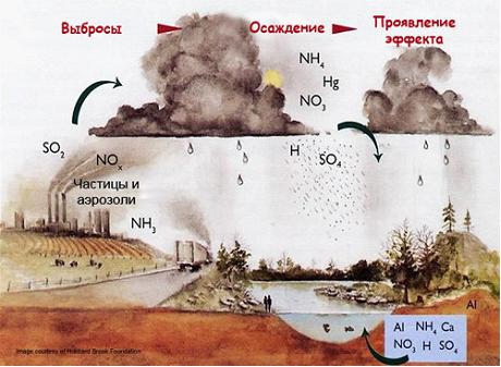 Изображение вопроса Выберите на схеме загрязняющие атмосферу вещества,...
