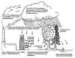 Изображение вопроса Анна Ивановна возвращалась домой из магазина по ул...