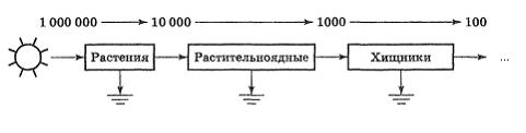 Изображение вопроса Данная схема потока энергии в экосистеме иллюстрир...