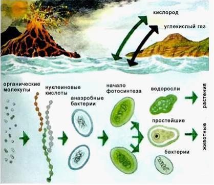 Изображение вопроса Как показано на рисунке, жизнь возникла в _	...