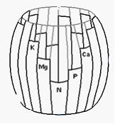 Изображение вопроса Существование и выносливость организма определяетс...