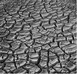 Изображение вопроса На рисунке показан такыр – форма рельефа, об...