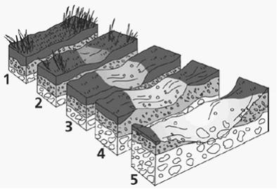 Изображение вопроса На рисунке показаны деструктивные процессы, вызван...