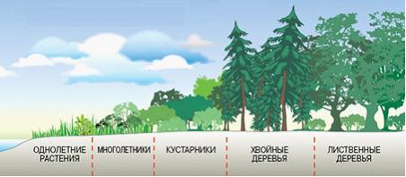 Изображение вопроса Последовательный ряд постепенно и закономерно смен...