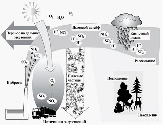 Изображение вопроса На рисунке показана схема загрязнения …...
