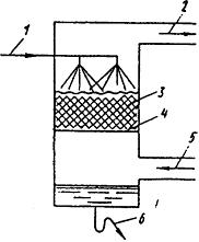 Изображение вопроса На рисунке представлен _____&#...