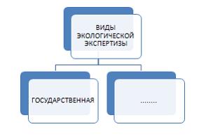 Изображение вопроса На схеме отсутствует такой вид экологической экспе...