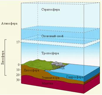 Изображение вопроса Установите соответствие между показанными на рисун...