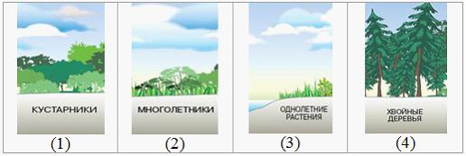 Изображение вопроса В настоящее время в России наблюдается увеличение ...