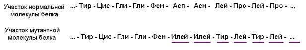 Изображение вопроса На рисунке показана последовательность аминокислот...